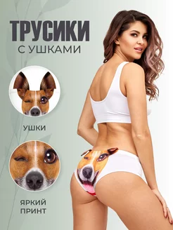 Прикольные трусы с ушками и принтом Джек Рассел Materos 138570881 купить за 609 ₽ в интернет-магазине Wildberries