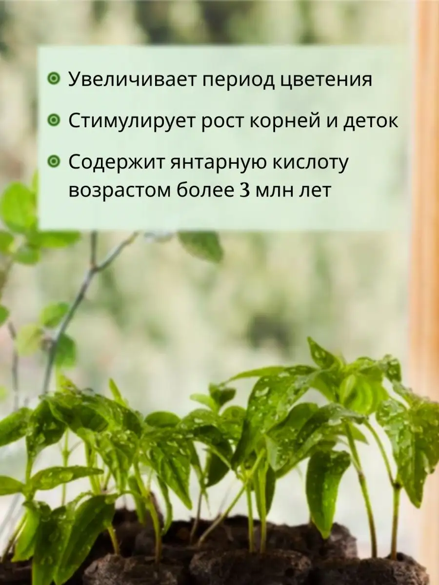 Выращиваем зеленые удобрения для сада: просто и экологично! | myDecor