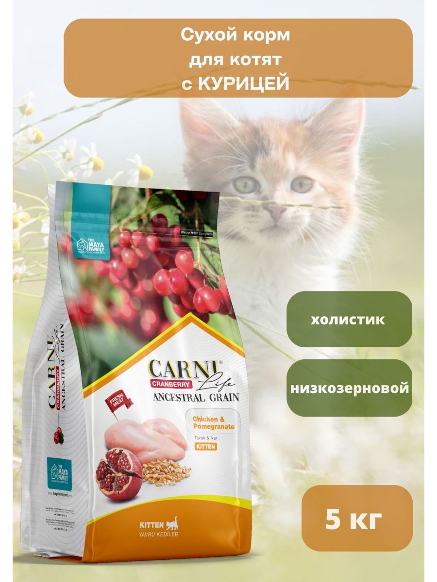 Carni life корм для кошек. Холистик для котят сухой. Турецкий корм для кошек сухой. Сухой турецкий корм Carni.