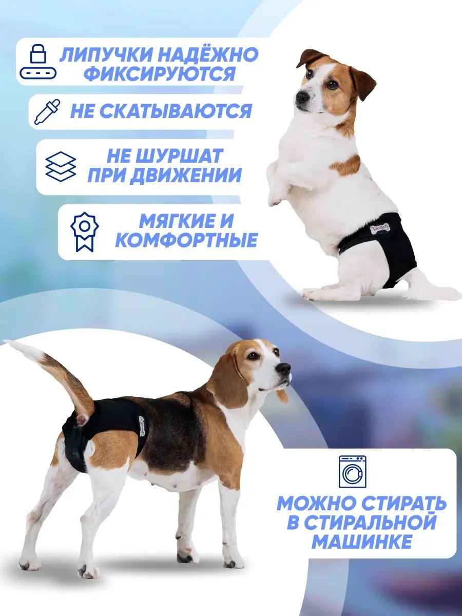 Трусы для животных Furry Child 138647304 купить за 595 ₽ в  интернет-магазине Wildberries