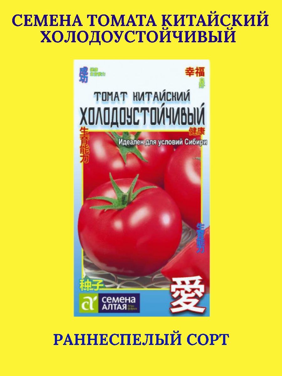 Помидоры китаец. Томат китайский холодоустойчивый. Китайские помидоры. Томат китайский холодоустойчивый отзывы.