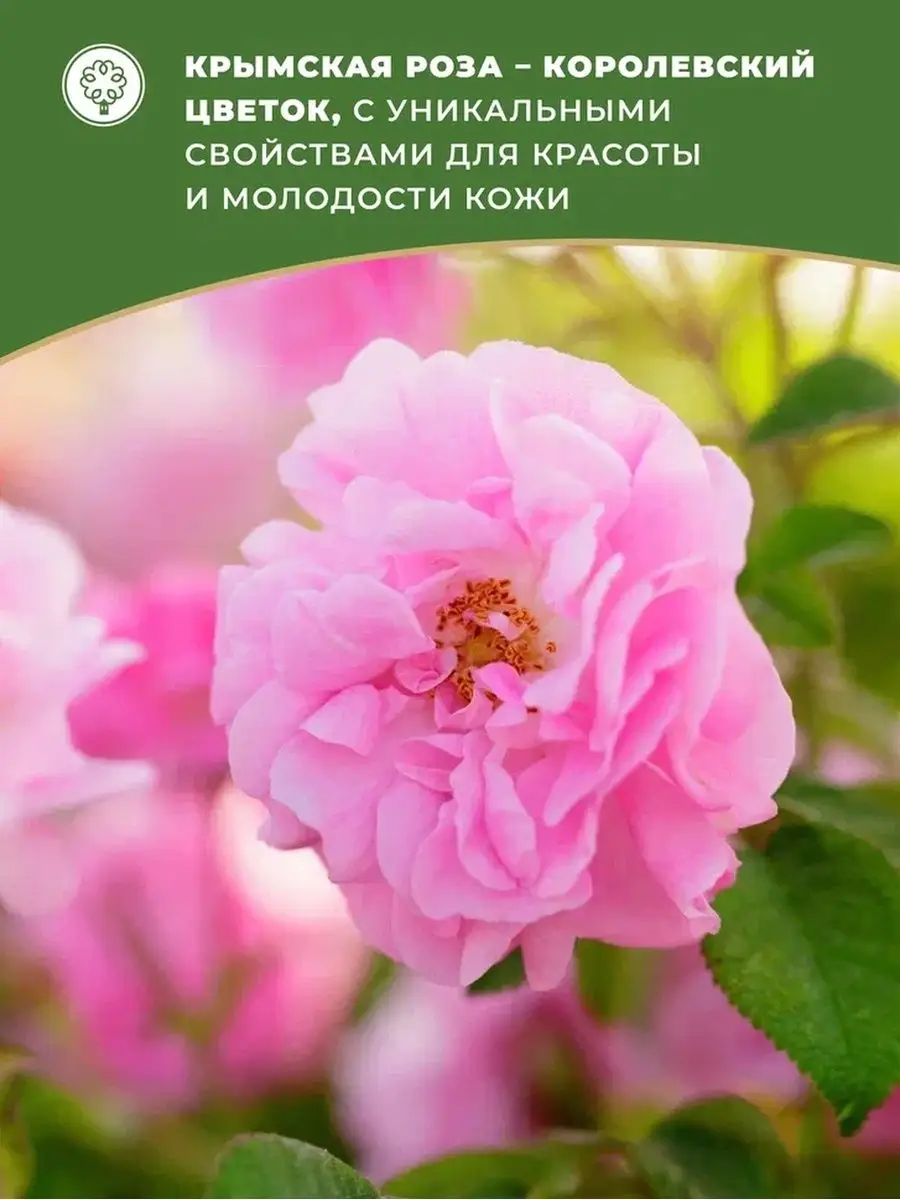 Тоник для лица Матирующий для комбинированной кожи Крымская Королева Роза  138675174 купить за 387 ₽ в интернет-магазине Wildberries