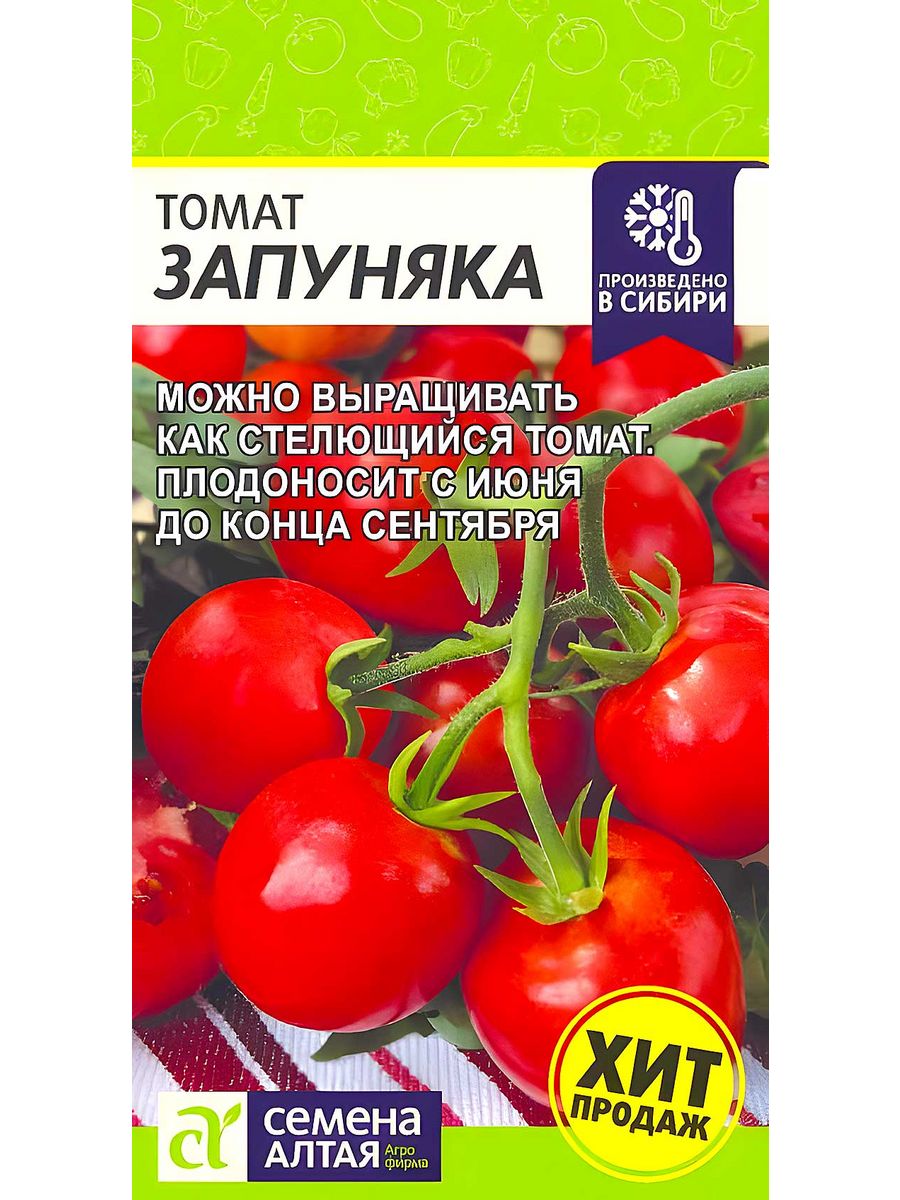 Сорт помидор запуняко отзывы. Томат Запуняка семена Алтая. Помидоры Запуняко семена Алтая. Томаты Запуняка Алтайские семена. Томат Запуняка описание.