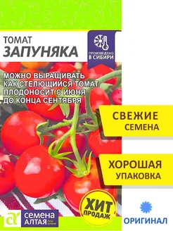 Семена Зяпуняка Помидор Купить