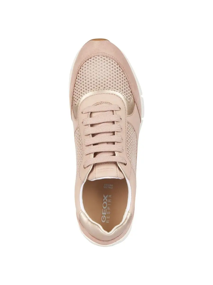 Geox femme sneakers online