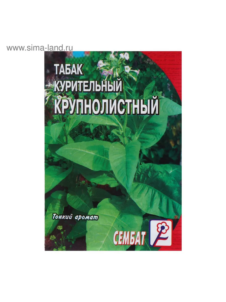 Семена Табак курительный