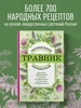 Интернет‑магазин Wildberries: широкий ассортимент товаров - скидки каждый день!