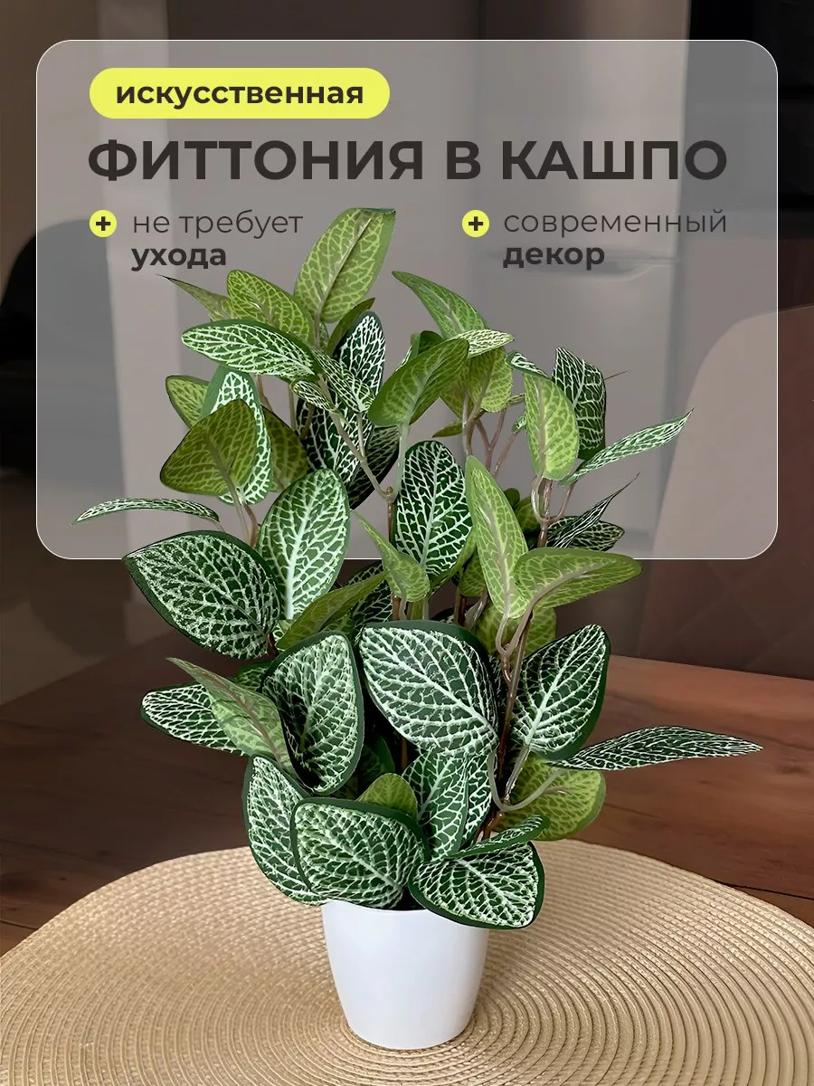Искусственное растение Фиттония в горшке для декора