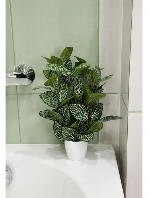 GreenHol Искусственное растение Фиттония в горшке для декора, зеленый, фото 3