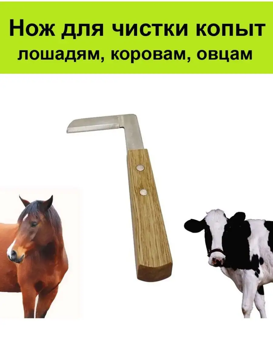 Нож для обработки копыт Kruuse обоюдоострый RH/DE 