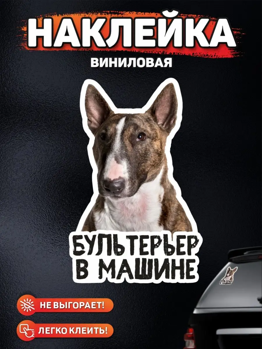 Наклейка на авто, Бультерьер в машине DANGER DOG осторожно злая собака  138784620 купить за 303 ₽ в интернет-магазине Wildberries