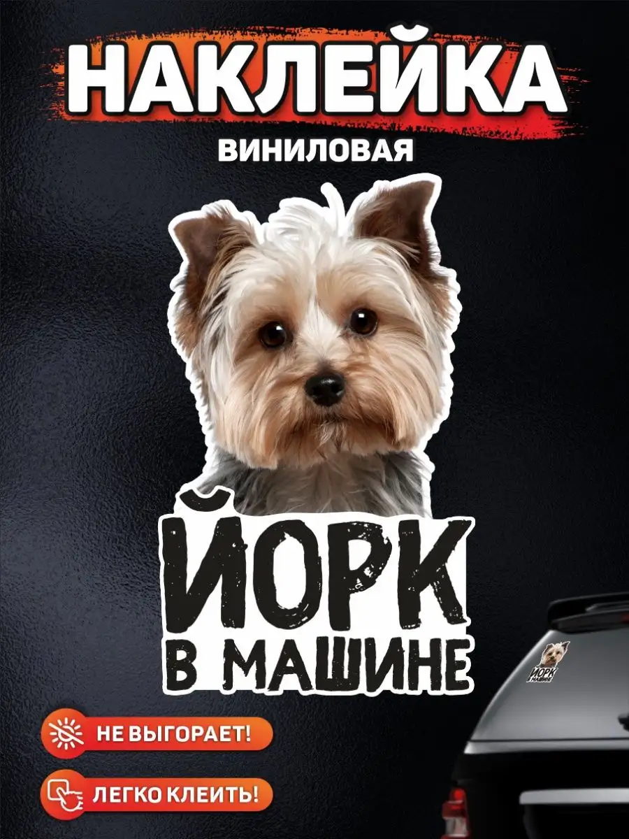 Наклейка на авто, Йорк в машине DANGER DOG осторожно злая собака 138784631  купить за 303 ₽ в интернет-магазине Wildberries