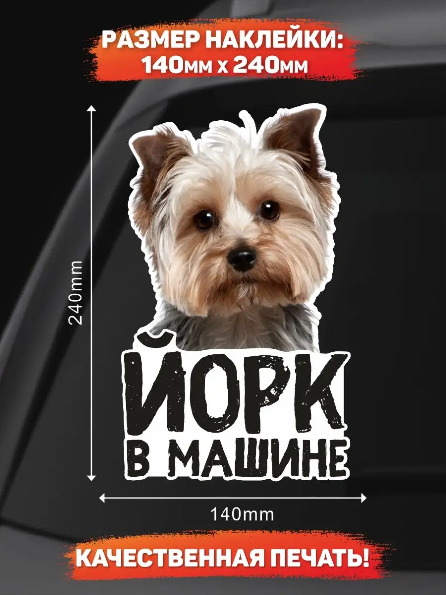 Наклейка на авто, Йорк в машине DANGER DOG осторожно злая собака 138784631  купить за 303 ₽ в интернет-магазине Wildberries