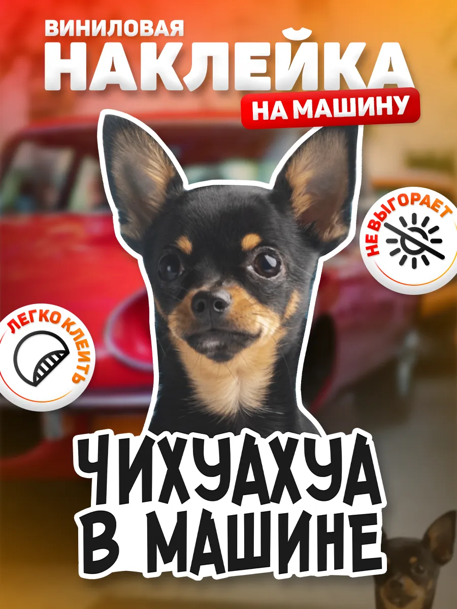 Наклейка на авто, Чихуахуа в машине DANGER DOG осторожно злая собака  138784635 купить за 281 ₽ в интернет-магазине Wildberries