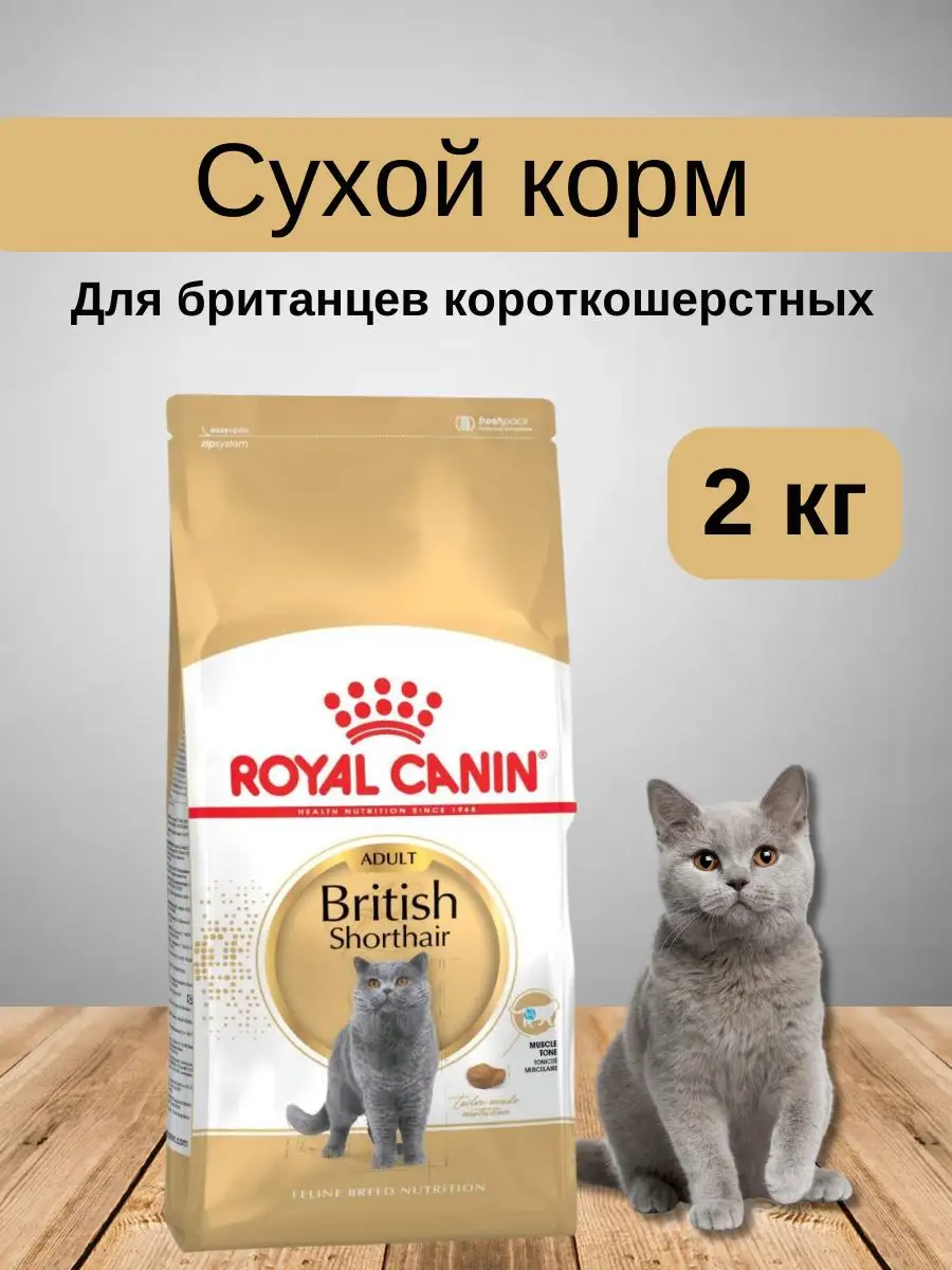 Корм для британских кошек сухой 2 кг Royal Canin ROYAL CANIN 138806080  купить в интернет-магазине Wildberries