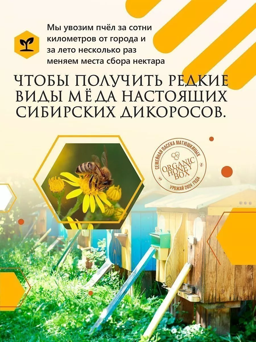 Мед натуральный Васильковый ORGANIC HONEY BOX 138812782 купить в  интернет-магазине Wildberries