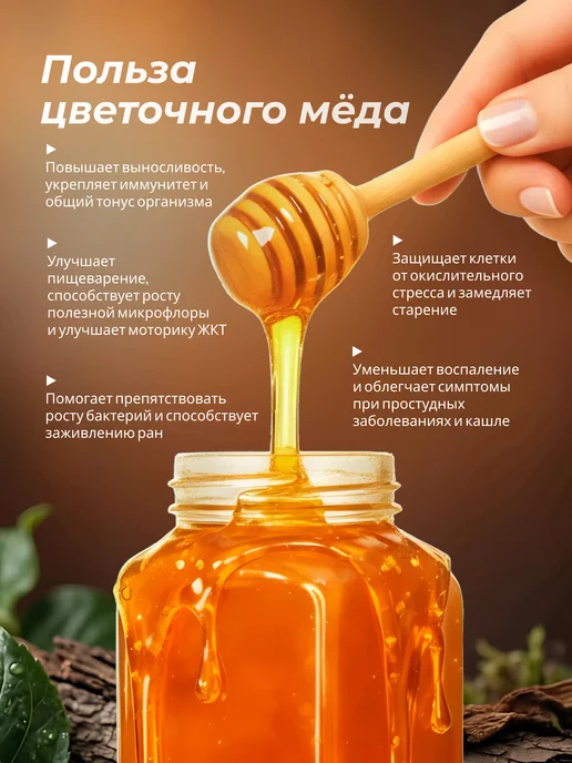 LEOFOX Мед набор Разнотравье, Гречишный 3 кг Сбор 2026, 2,25 кг, фото 3