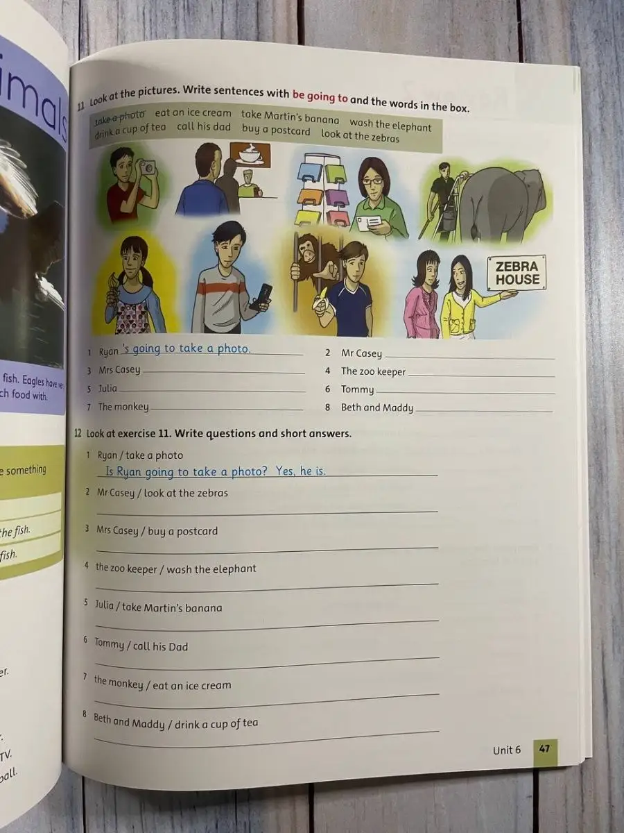 Grammar Friends 5. Class Book with CD / Учебник+CD-ROM Premium Books  138826610 купить за 410 ₽ в интернет-магазине Wildberries