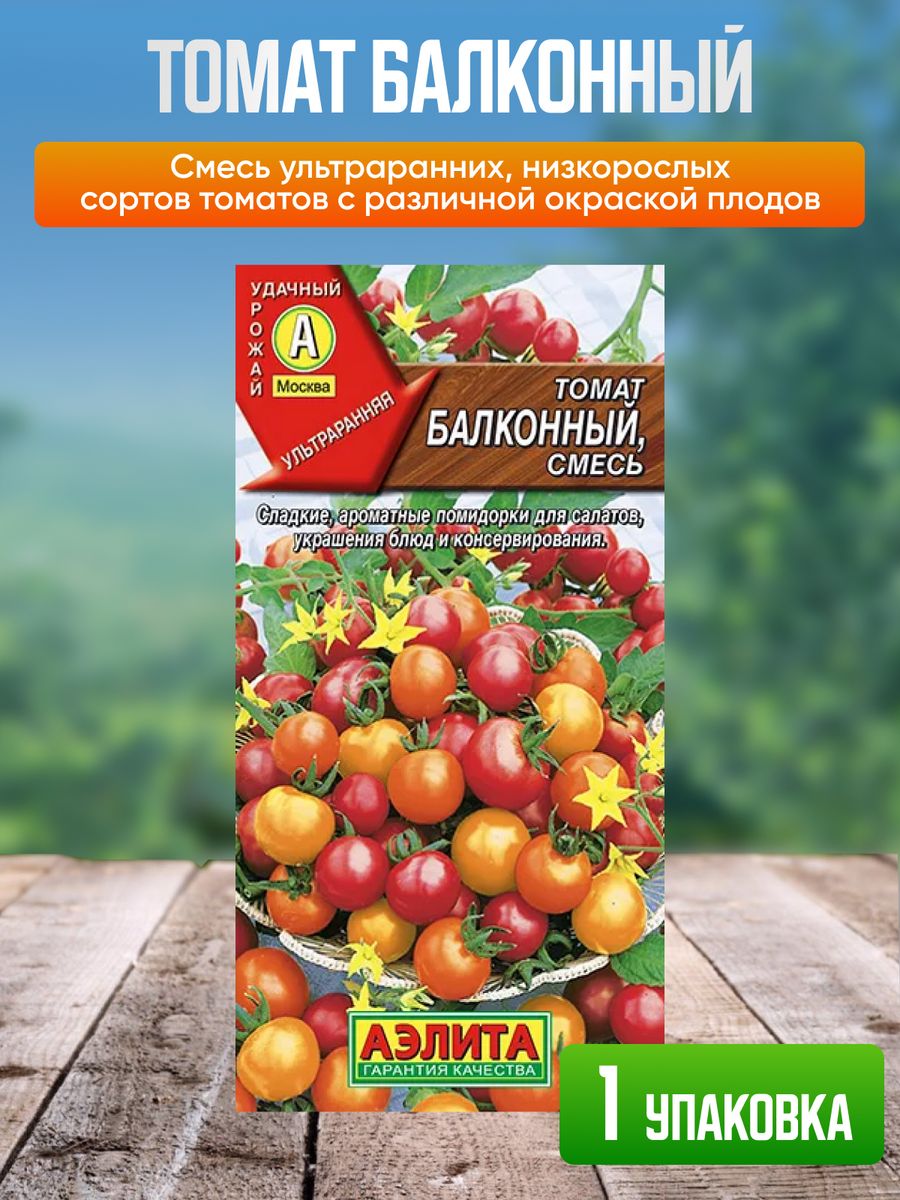 Томат пуговка описание сорта фото. Томат Монетка. Томат Пуговка. Томат Пуговка характеристика. Томат Пуговка отзывы.