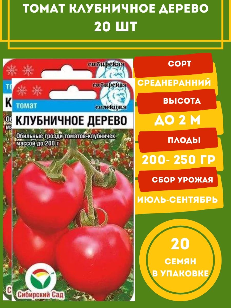 Томат клубничное дерево описание сорта. Томат клубничное дерево. Помидоры клубничные. Клубничное дерево томат фото. Клубничное дерево отзывы.