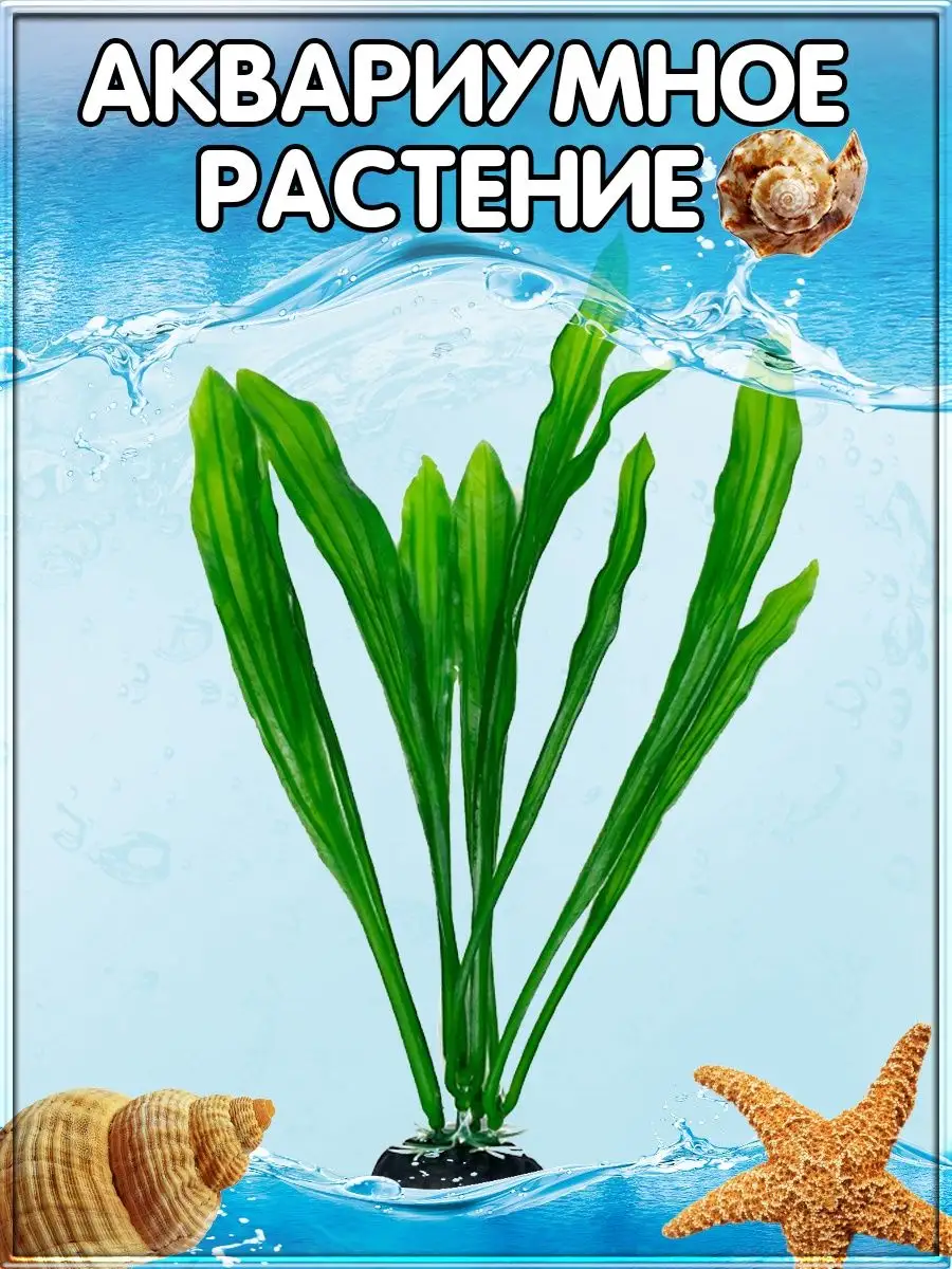 Аквариумные растения искусственные : Ростения - ИМ Арована, ☎ 0 