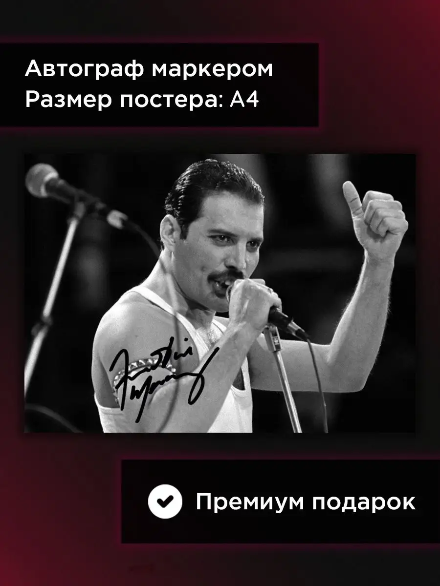 Постер с автографом Фрэдди Меркьюри Queen А4 COLLECTORS 138955998 купить за  733 ₽ в интернет-магазине Wildberries