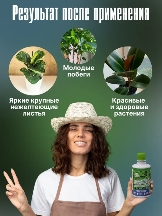 Ecolike Удобрение для фикуса бенджамина от сбрасывания листьев, вариант, фото 3