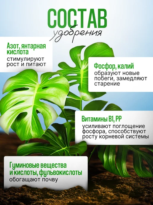 Ecolike Удобрение для фикуса бенджамина от сбрасывания листьев, вариант, фото 5
