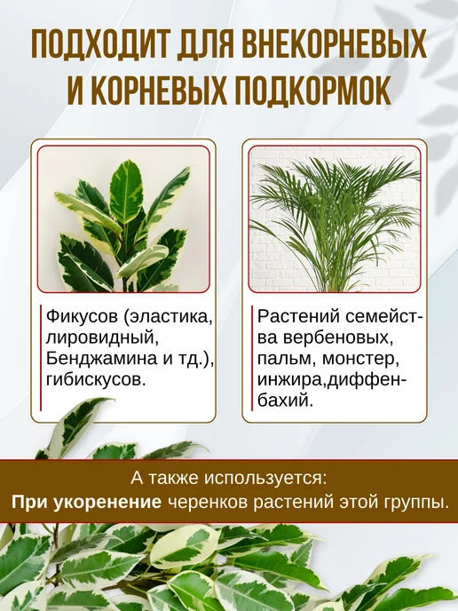 Ecolike Удобрение для фикуса бенджамина от сбрасывания листьев, вариант, фото 6
