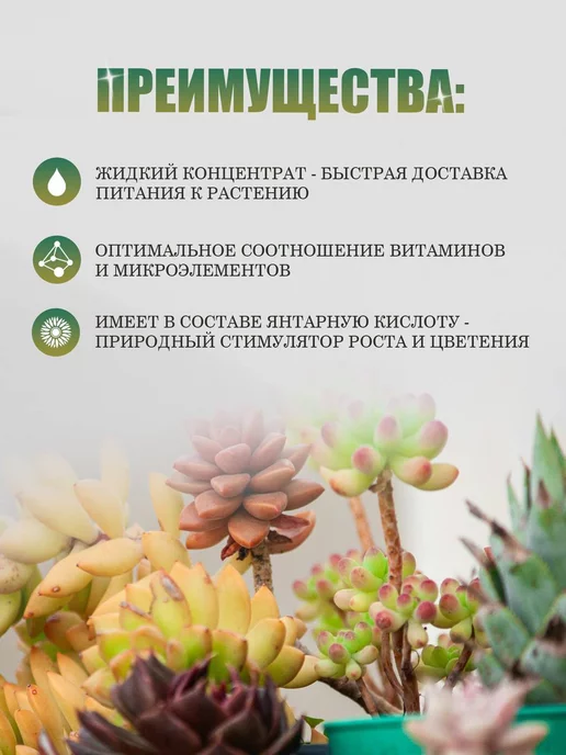 Ecolike Органическое удобрение для кактусов и суккулентов жидкое, вариант, фото 2
