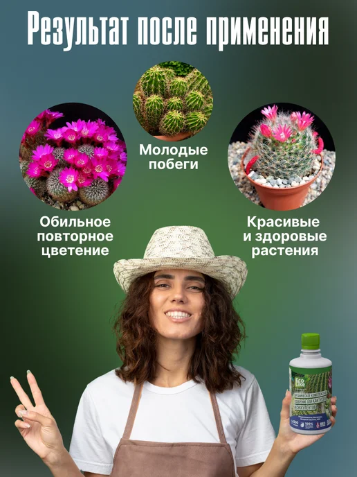 Ecolike Органическое удобрение для кактусов и суккулентов жидкое, вариант, фото 4