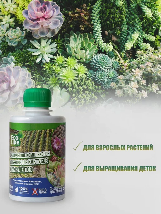 Ecolike Органическое удобрение для кактусов и суккулентов жидкое, вариант, фото 6