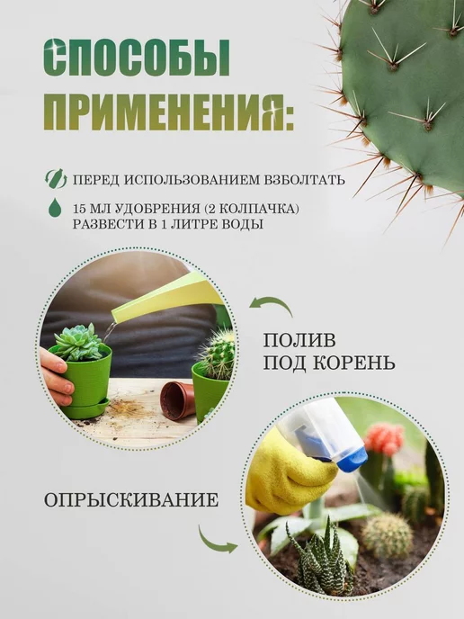 Ecolike Органическое удобрение для кактусов и суккулентов жидкое, вариант, фото 7