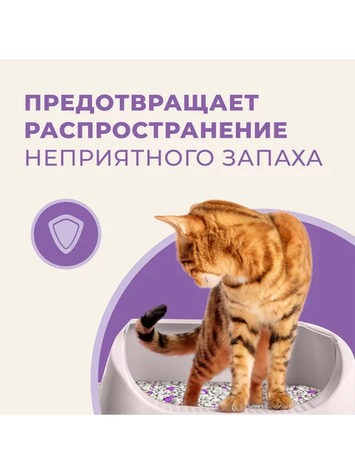 Van cat Комкующийся наполнитель с ароматом лаванды, Lavender 20кг, 20 кг, фото 5