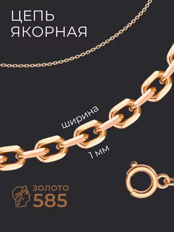 Цепочка на шею золотая 585 POKROVSKY JEWELRY 139041144 купить за 5 321 ₽ в интернет-магазине Wildberries