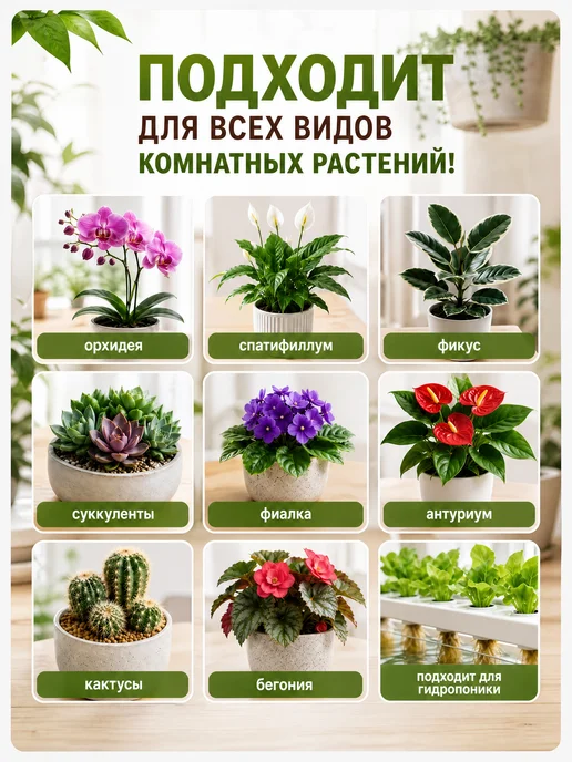 Ecolike Удобрение Биогумус жидкий для комнатных растений, цветов, вариант, фото 3