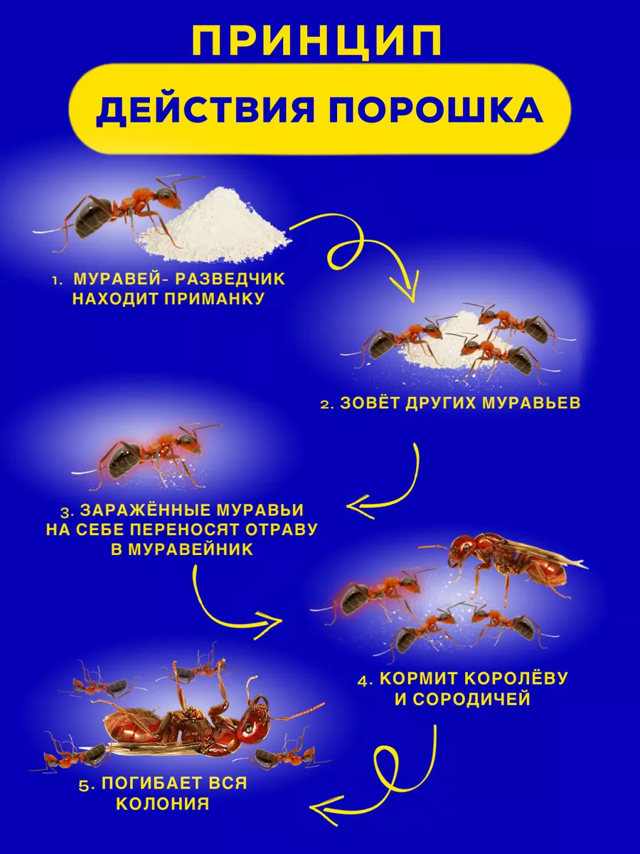 Средство от тараканов 100г Тиурам от тараканов и грызунов 139075383 купить  за 453 ₽ в интернет-магазине Wildberries