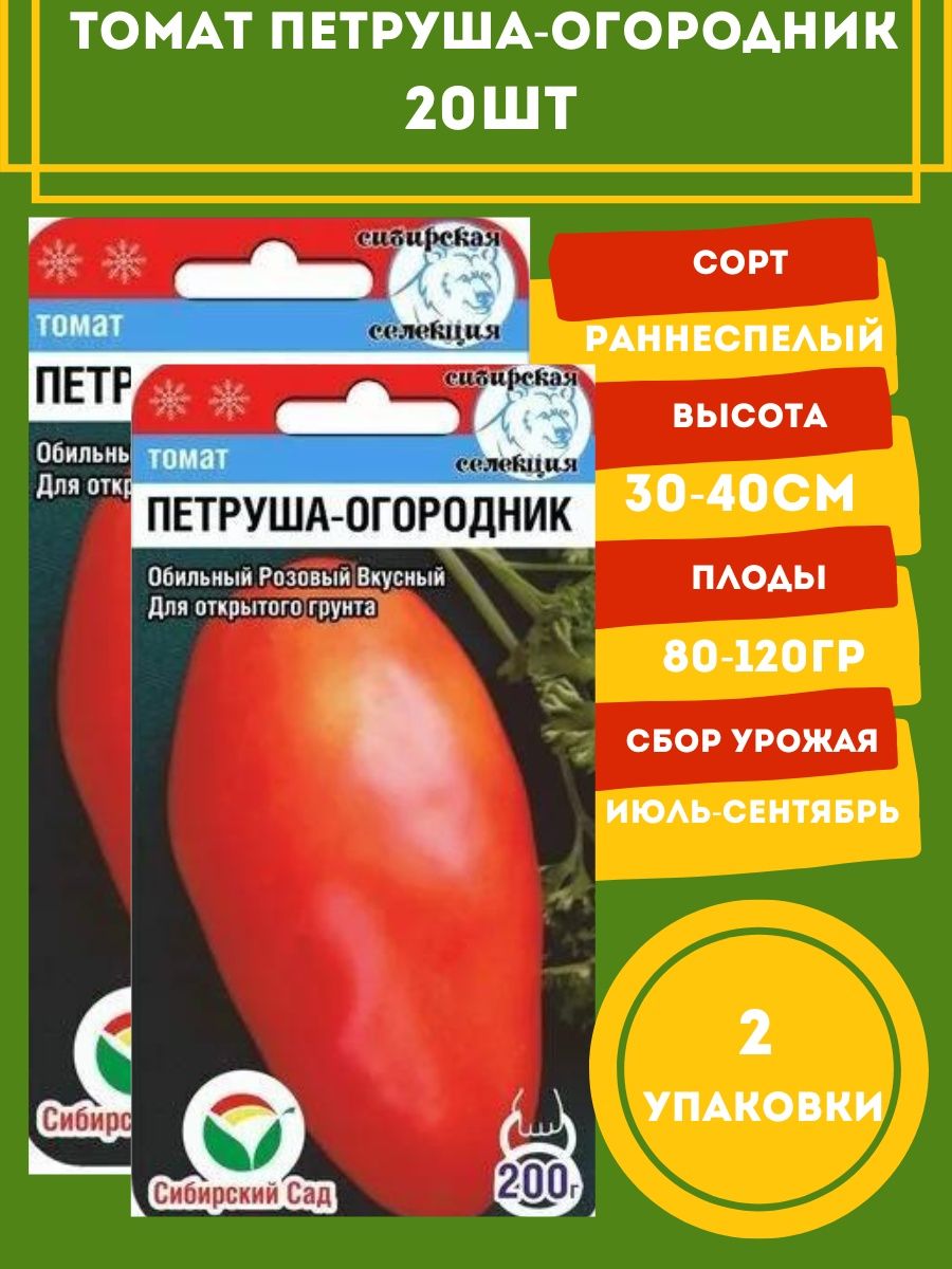 Помидоры петруша огородник описание сорта фото отзывы. Томат Петруша огородник 20шт Сибирский сад. Томат Петруша огородник. Томат Петруша огородник 20шт. Помидоры Петруша огородник описание сорта.