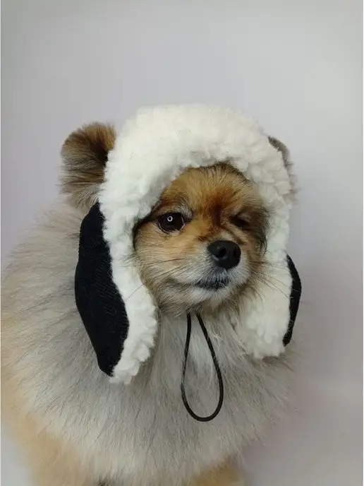 Patriky Зимняя шапка ушанка для собак животных, черный, фото 2