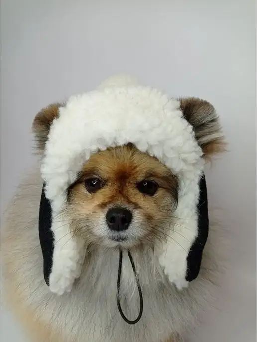 Patriky Зимняя шапка ушанка для собак животных, черный, фото 5