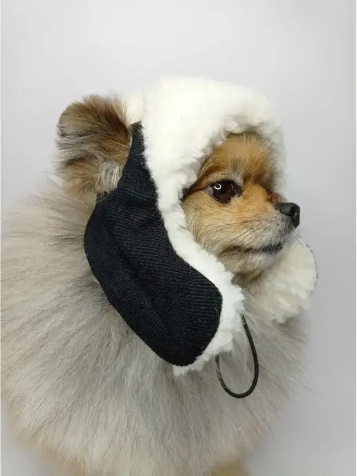 Patriky Зимняя шапка ушанка для собак животных, черный, фото 6