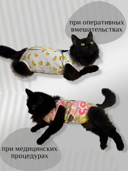 Petleader Попона послеоперационная для кошек на липучке, голубой, фото 2