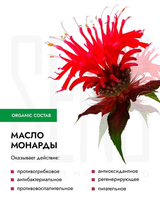 SENS GEL Экстракт монарды сухое масло для ногтей, вариант, фото 2