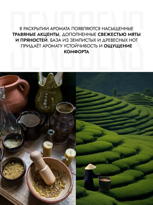 SENS GEL Экстракт монарды сухое масло для ногтей, вариант, фото 8