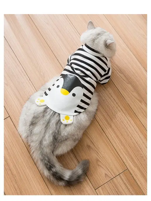 PetMol Одежда для кошек и собак, черный, фото 4