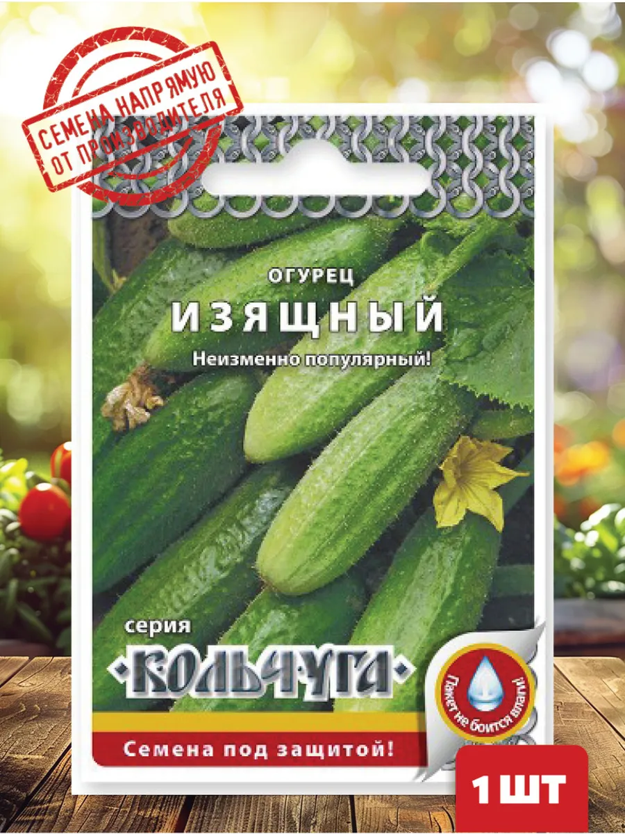 Салат садок семена. Сорта огурцов для открытого грунта. Огурец изящный 200% 1гр/10/200. Огурцы изящный отзывы описание. Огурец изящный фото.