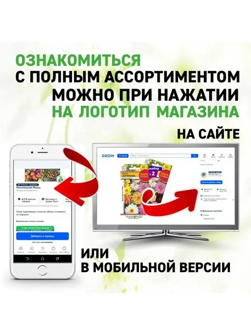 Русский огород Семена Базилик Крымчанин "Кольчуга NEW", вариант, фото 3