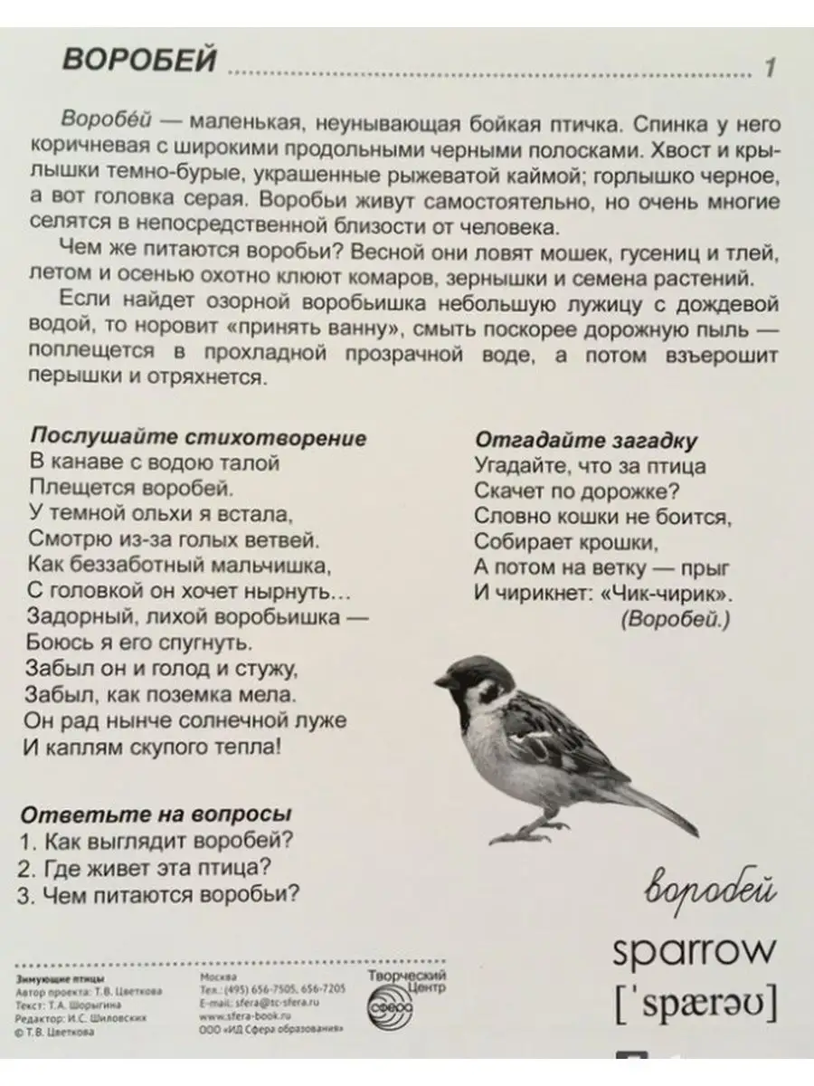 Дем. картинки СУПЕР Зимующие птицы 16 демонстр. картинок с т ТЦ СФЕРА  139218420 купить за 224 ₽ в интернет-магазине Wildberries