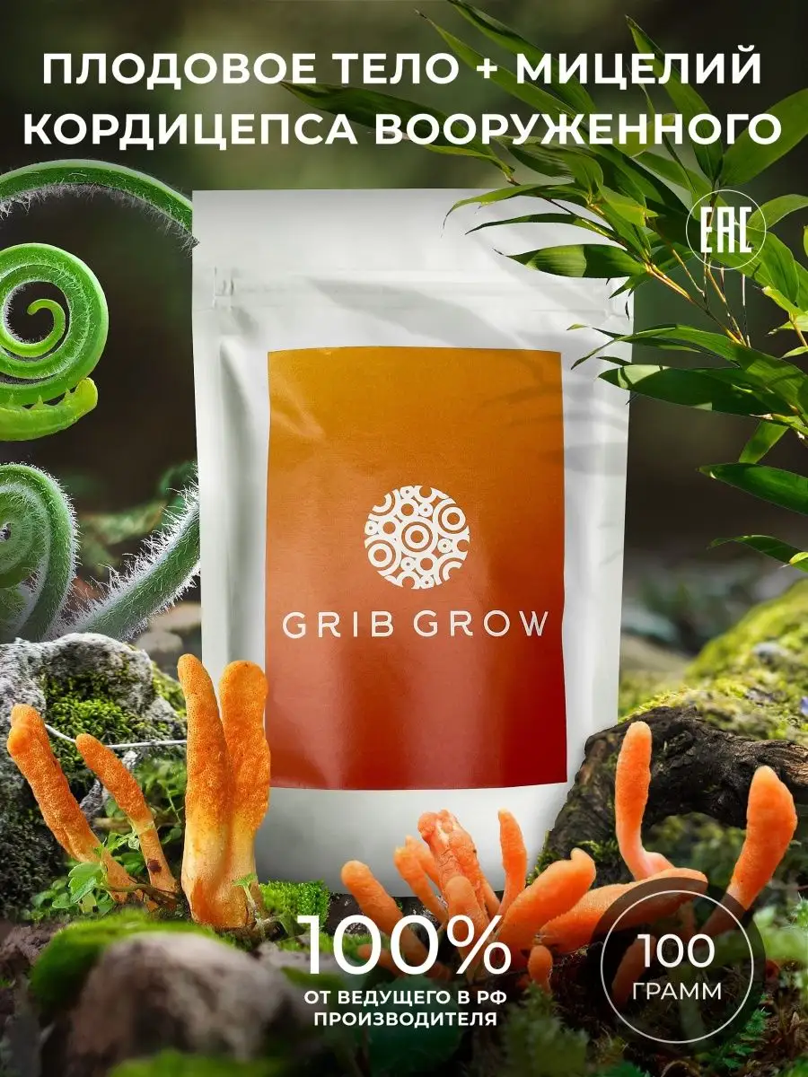 Кордицепс вооруженный плодовое тело + мицелий - 100 грамм Grib Grow  139229705 купить за 842 ₽ в интернет-магазине Wildberries