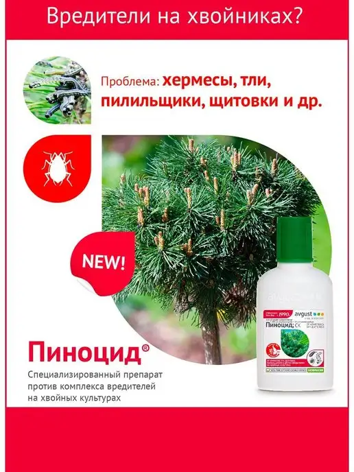 Avgust Средство для защиты хвойных растений Пиноцид 2 мл, 6 шт, 2 мл, 6 шт, фото 2